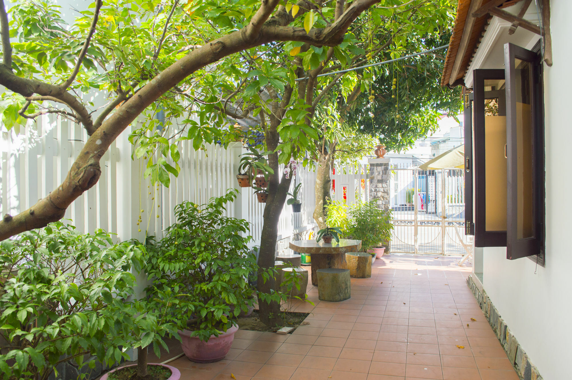 Halo Homestay Hoi An Exterior photo