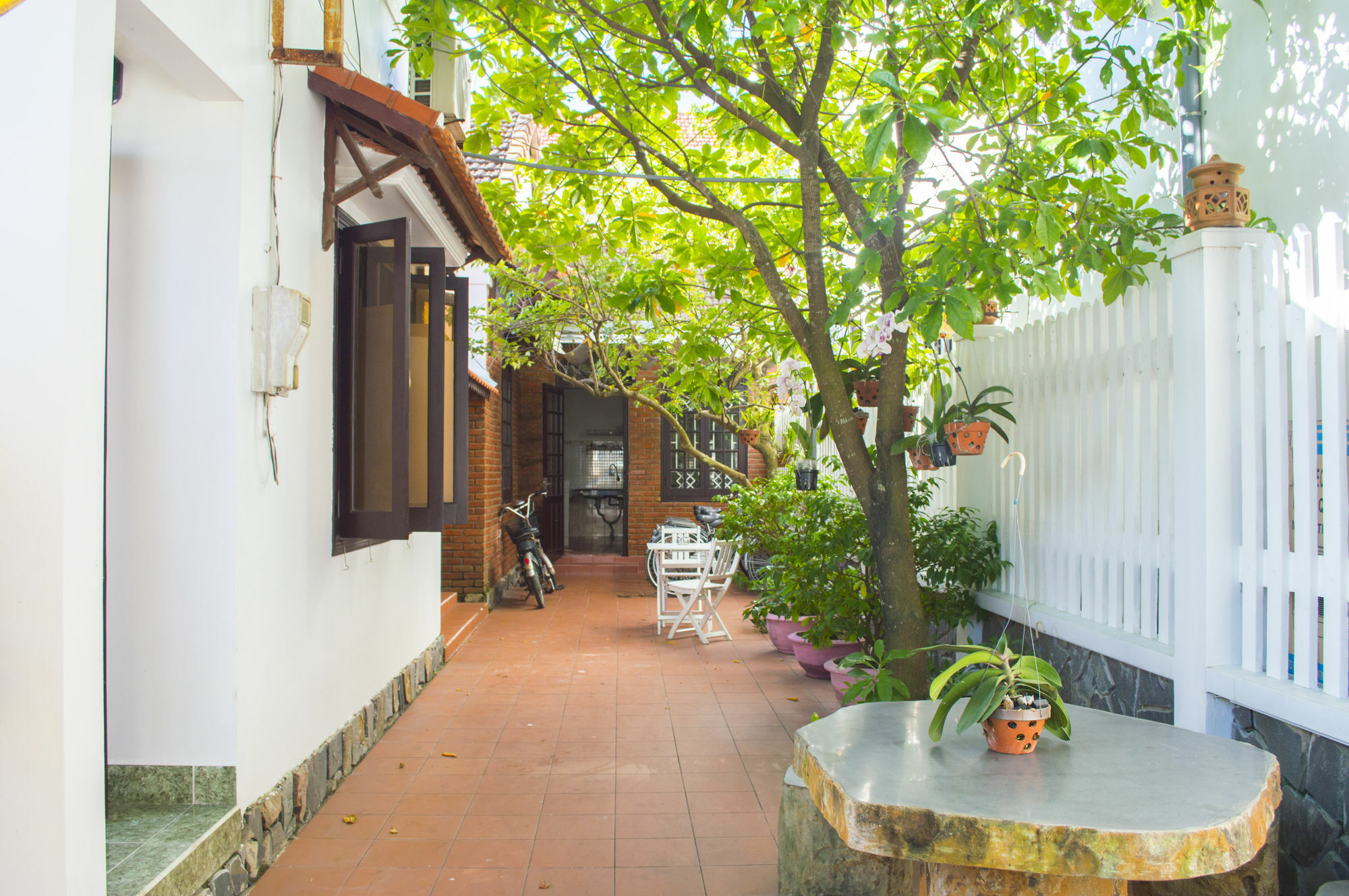 Halo Homestay Hoi An Exterior photo